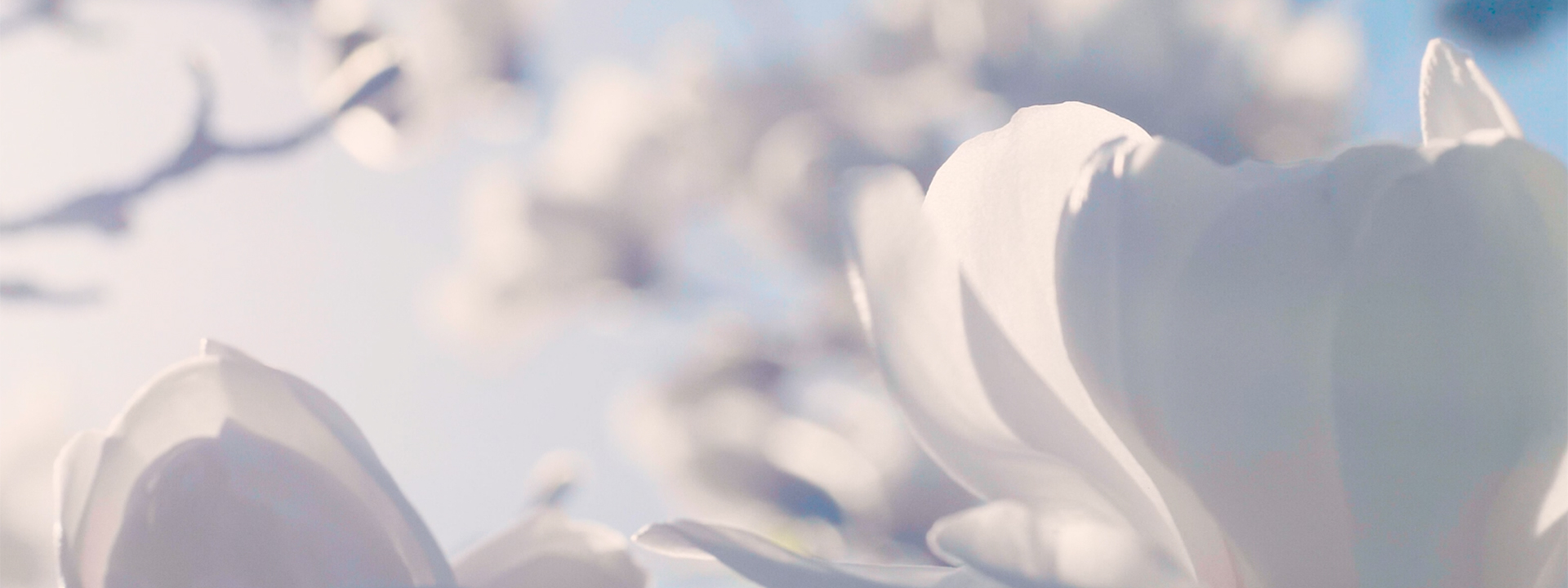 header-umwelt-compliance-2 header-umwelt-compliance-2